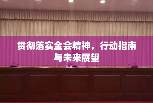 贯彻落实全会精神，行动指南与未来展望