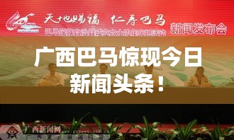广西巴马惊现今日新闻头条！