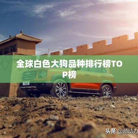 全球白色大狗品种排行榜TOP榜