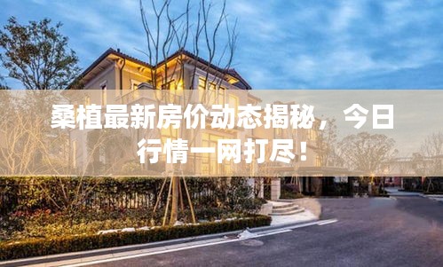 桑植最新房价动态揭秘，今日行情一网打尽！