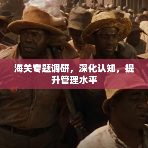 海关专题调研，深化认知，提升管理水平
