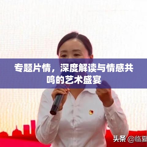 专题片情，深度解读与情感共鸣的艺术盛宴