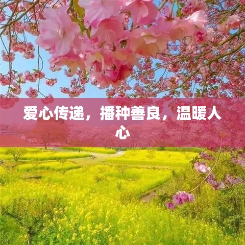 爱心传递，播种善良，温暖人心