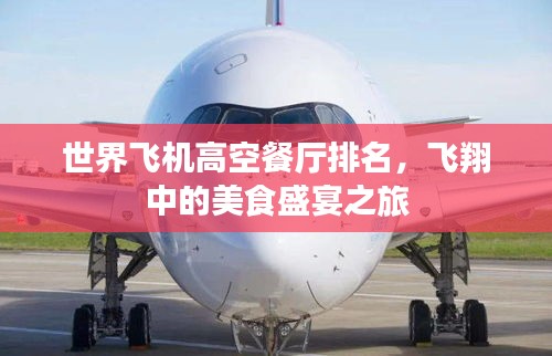 世界飞机高空餐厅排名，飞翔中的美食盛宴之旅
