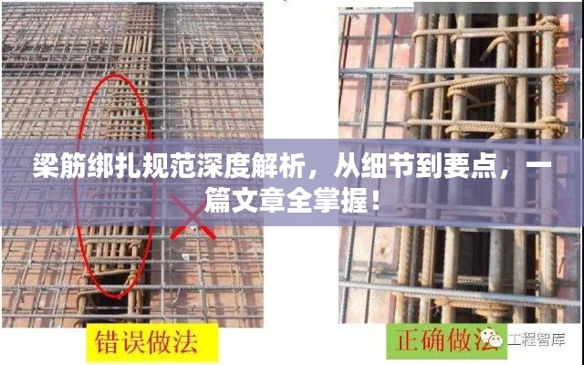 产品中心 第5页