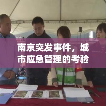 南京突发事件，城市应急管理的考验与应对策略