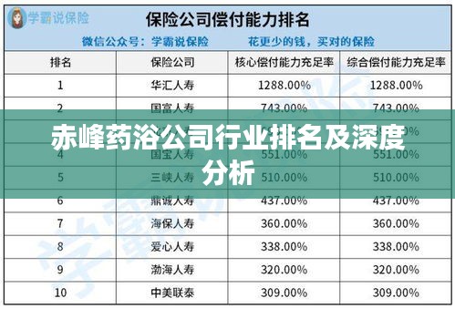 公司简介 第5页