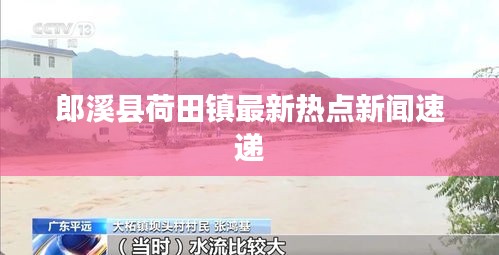 郎溪县荷田镇最新热点新闻速递