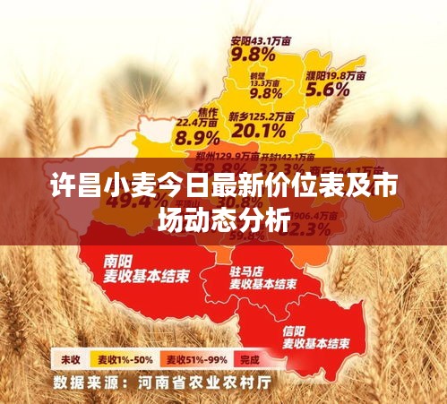 许昌小麦今日最新价位表及市场动态分析