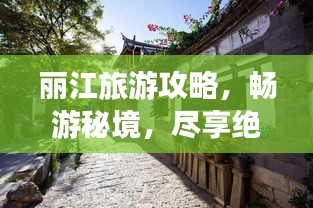 映月读书