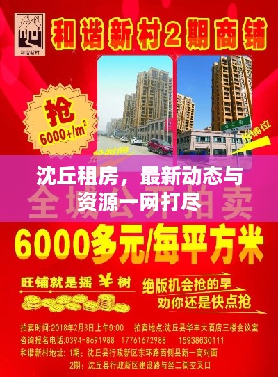 沈丘租房，最新动态与资源一网打尽