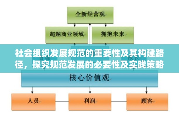 社会组织发展规范的重要性及其构建路径，探究规范发展的必要性及实践策略